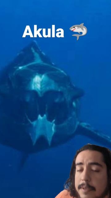 Akula 🦈 | #avatar2 #jamescameron #avatar #avatarthewayofwater #akula #tiburón #avatarelcaminodelagu смотреть онлайн
