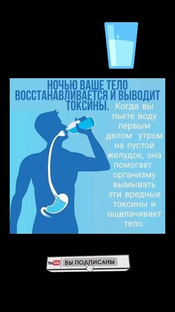 Утром натощак выпивайте стакан воды. #здоровье #вода #токсины #почки смотреть онлайн