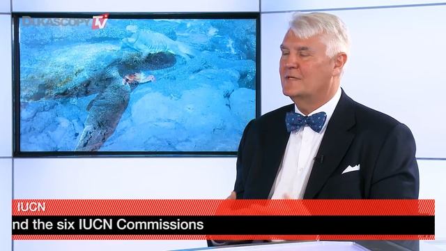 Дайвинг с крокодилами смотреть онлайн