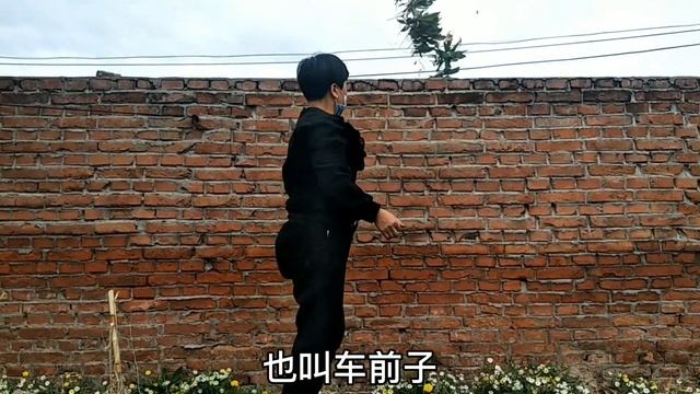 驱除蚊虫效果好的“香蒿”，您知道长啥样吗？只有东北才有吧 смотреть онлайн