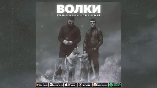 Волки TURAL EVEREST Руслан Добрий