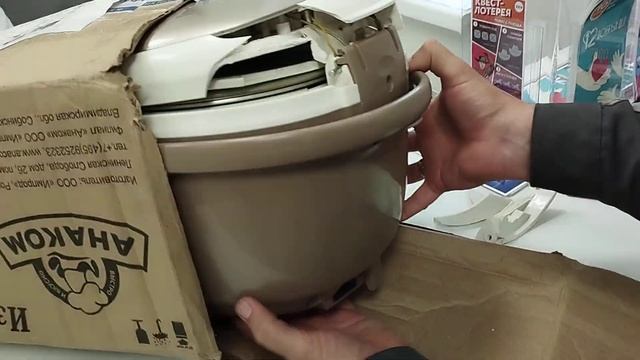 VID 20240522 1303491 смотреть онлайн