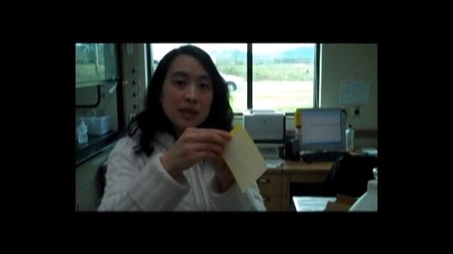 spotted wing fruit fly materials and observations.wmv смотреть онлайн