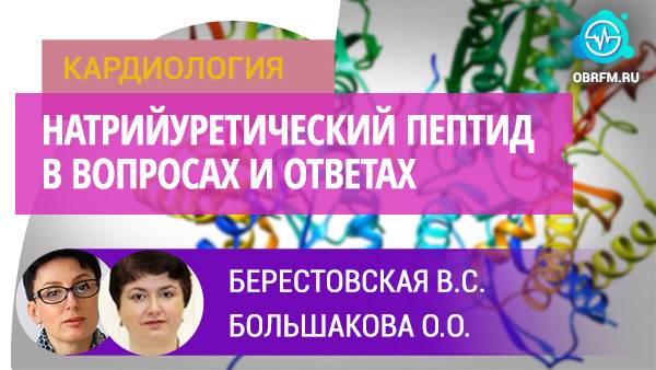 Доцент Берестовская В.С., профессор Большакова О.О.: Натрийуретический пептид в вопросах и ответах смотреть онлайн