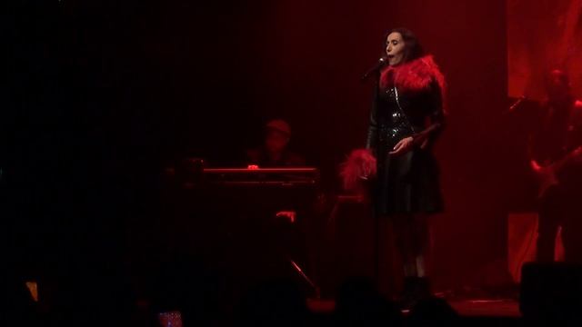 Luz Casal - Un año de Amor (Viña del mar 2019) смотреть онлайн