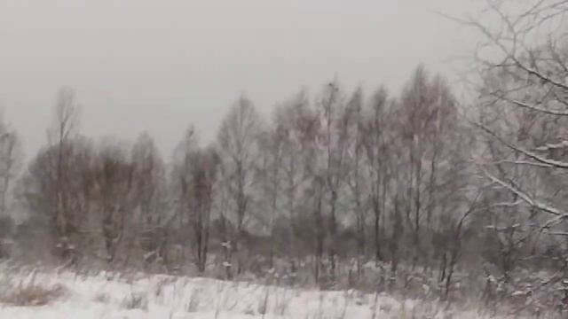 Тетерева прилетели. смотреть онлайн