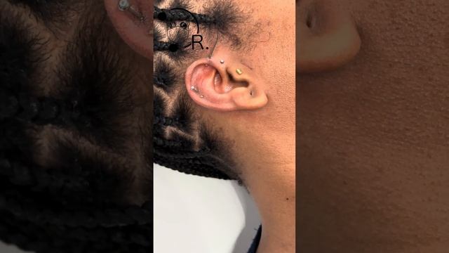 A painless Forward Helix piercing смотреть онлайн