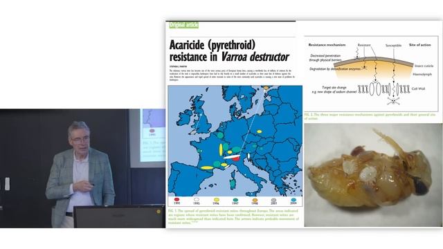 Problém Varroa destructor смотреть онлайн
