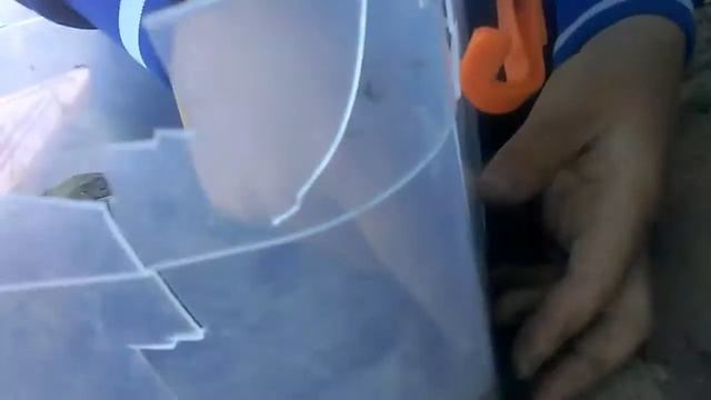 Наши ящерицы часть 1 смотреть онлайн