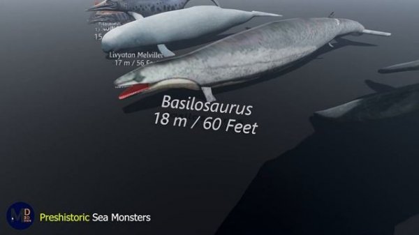 Prehistoric Sea Creatures SIZE Comparison 🐳🐬🐟🐠🐡🦈🐙🐚🐋🦑