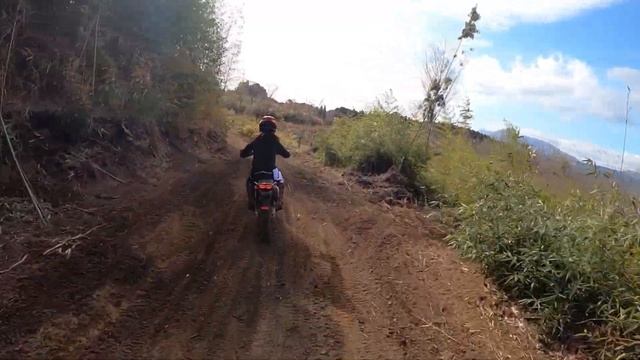 オフ#2 テストコース今市で遊ぶ！ジェベル250XCオフロードデビュー смотреть онлайн