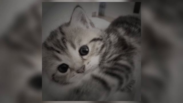 поболело и прошло Speed Up