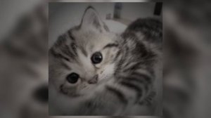 поболело и прошло speed up