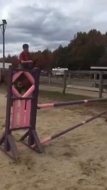 High jumps with Booty! смотреть онлайн