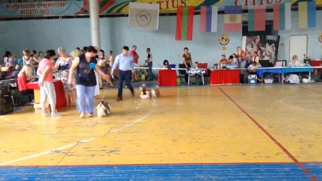 Tiraspol 1 смотреть онлайн