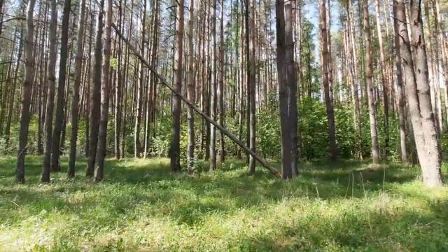 Тишина и спокойствие смотреть онлайн
