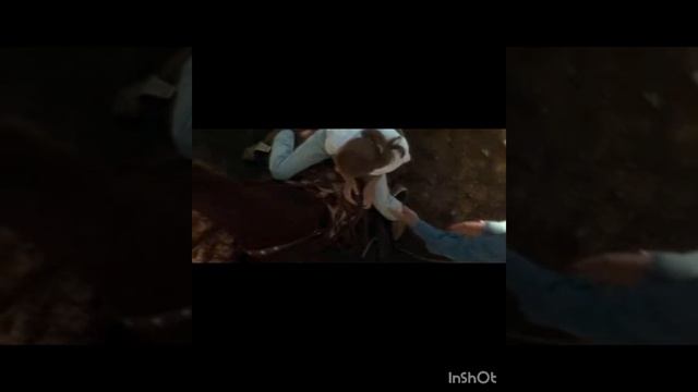 Молодо зелено смотреть онлайн