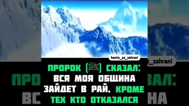 Бойтесь Аллаха смотреть онлайн