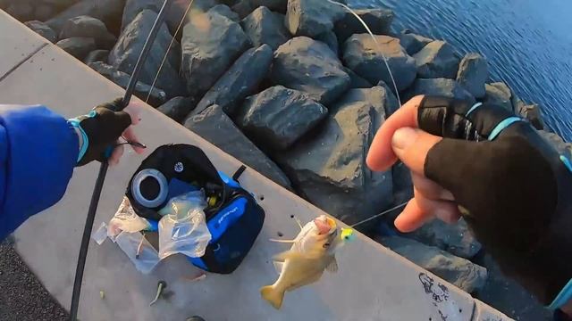 Big Kob are back - North Pier смотреть онлайн