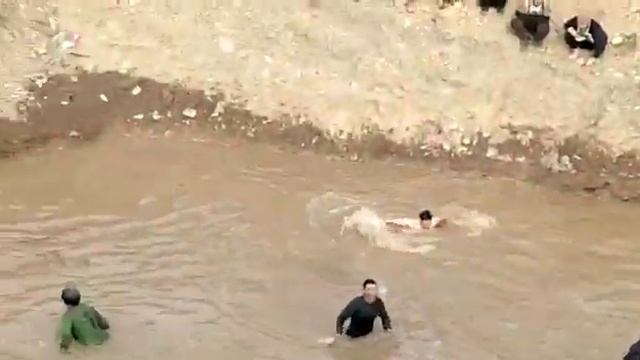 Карасуу жаны Маданият смотреть онлайн