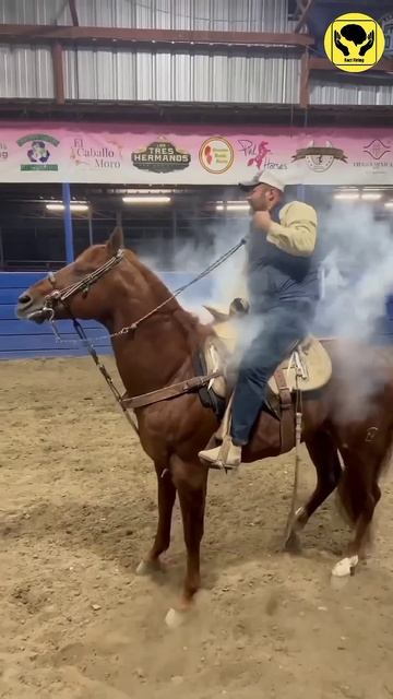 Why So Much Smoke Forms From Cowboys Rope смотреть онлайн