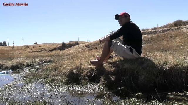 mira el video hasta el final -cholita mamila смотреть онлайн