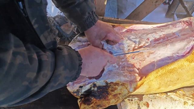 10.02.24. Разделка свиньи. смотреть онлайн