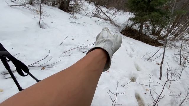 SCOUTING PAYS OFF! ELK SHEDS смотреть онлайн