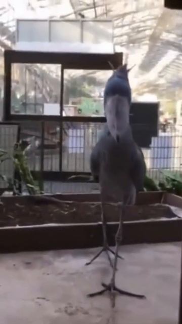 Я бы опустил глаза, если бы встретился с ней.. смотреть онлайн