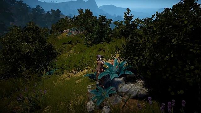 BDO And the oscar goes to… Alchemist (NA - Orwen; Legions) смотреть онлайн