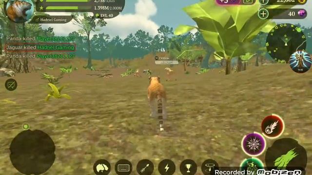 The Tiger Online Simulator || Part 2 || #5 смотреть онлайн