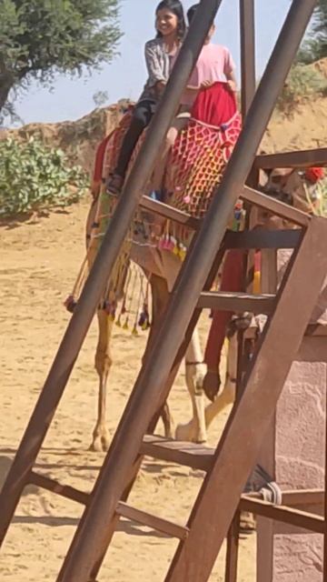 camel ride #short video# смотреть онлайн