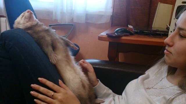 падение Cтивинсона смотреть онлайн