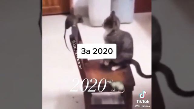 2020 смотреть онлайн