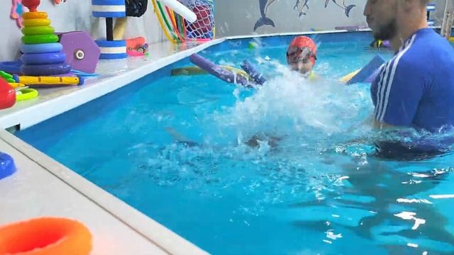 Плаваем с Байкальской Нерпой. Удивительное Животное Байкальская Нерпа