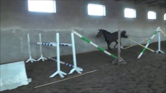 Эльбрусия 28 09 2015 смотреть онлайн