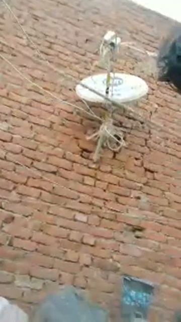 D2h And Dish Tv смотреть онлайн