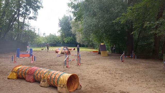 аджилити, Сокольники, август 2023 смотреть онлайн