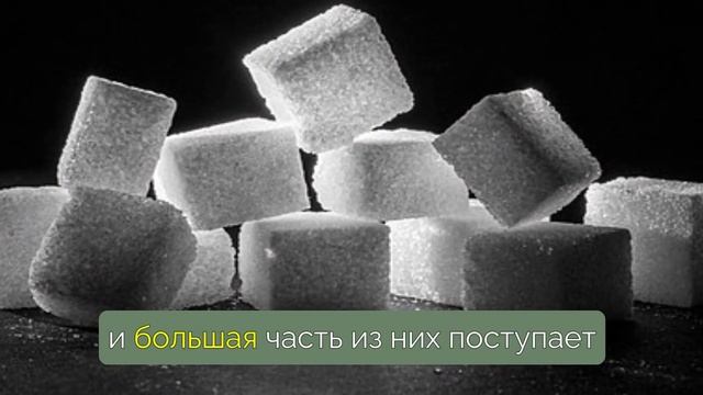 10 продуктов, которые ТЕБЕ НУЖНО ИСКЛЮЧИТЬ, чтобы СБРОСИТЬ ЖИР. Или ТЫ НИКОГДА ЭТОГО НЕ ДОБЬЕШЬСЯ смотреть онлайн