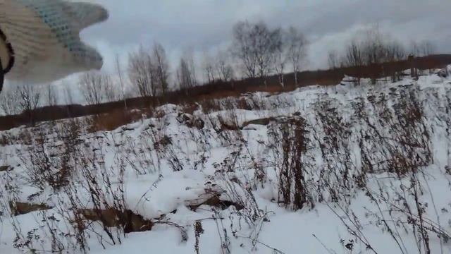 Осмотр территории под расширение хозяйства смотреть онлайн