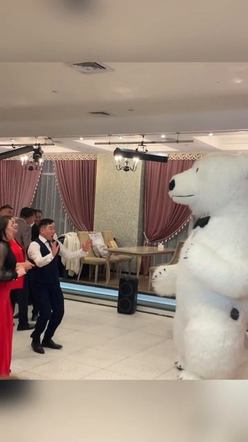 Мишка танцует зажигательный танец #медвежонок #праздник #поздравление смотреть онлайн