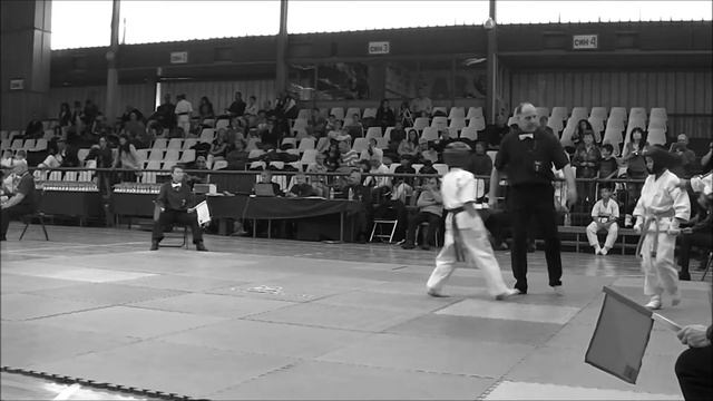 Shinkyokushin Attila Kostov Ruse 2013 final смотреть онлайн