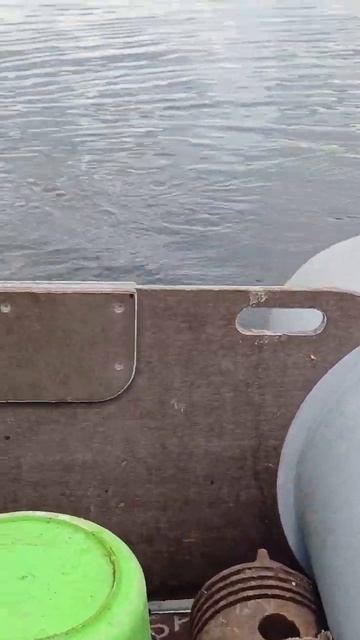 Продолжаем косить камыш,рыбалка в заповеднике🎣👍 смотреть онлайн