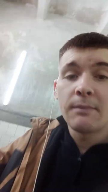 Перепел оригинал смотреть онлайн