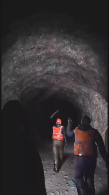 Cave worm #horror #fyp смотреть онлайн