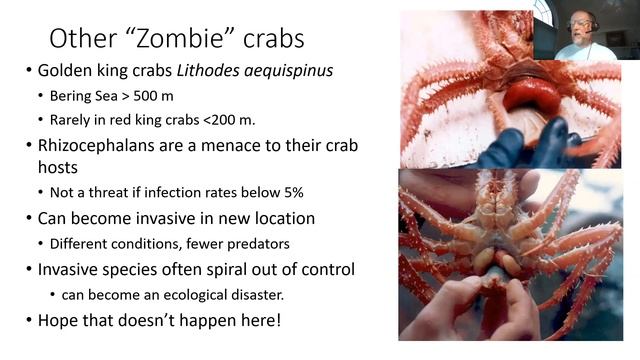 Maryland's Other Crabs смотреть онлайн