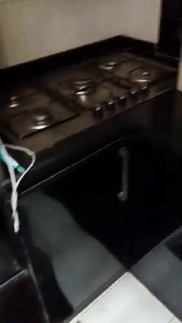 الرفاعي تال لتميز والرقي 🤙 смотреть онлайн