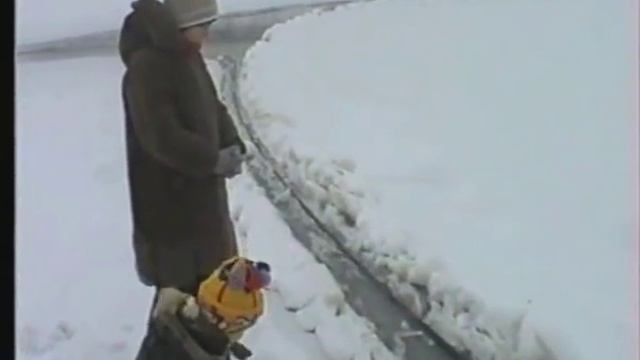 Чудо природы смотреть онлайн