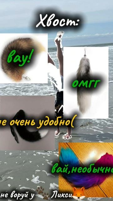 описание сьела моя подруга))) #квадробика #тренды #топ #подпишись #котик #бег #сходкаквд #квд #funn смотреть онлайн