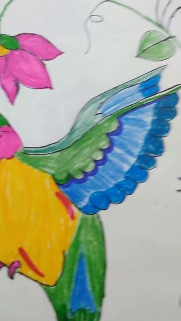 HUMMING BIRD🐥 смотреть онлайн